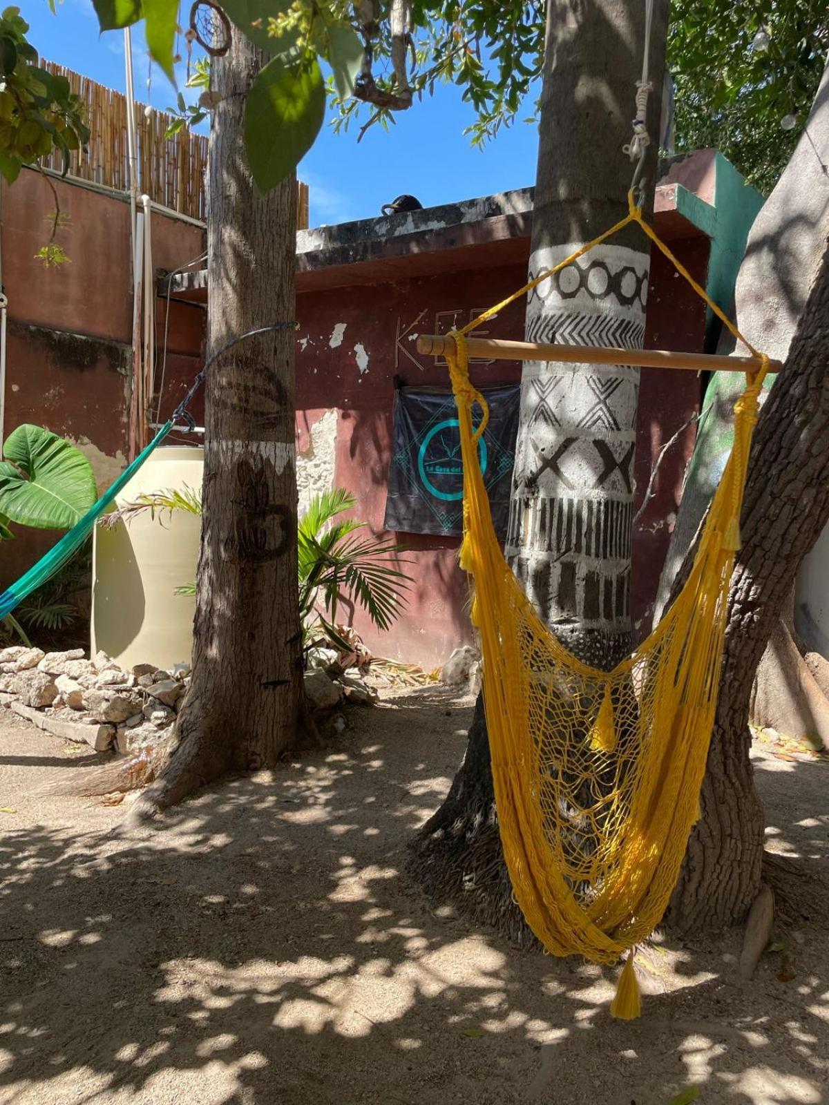 La Casa Del Keej Hostel Mérida Exteriör bild
